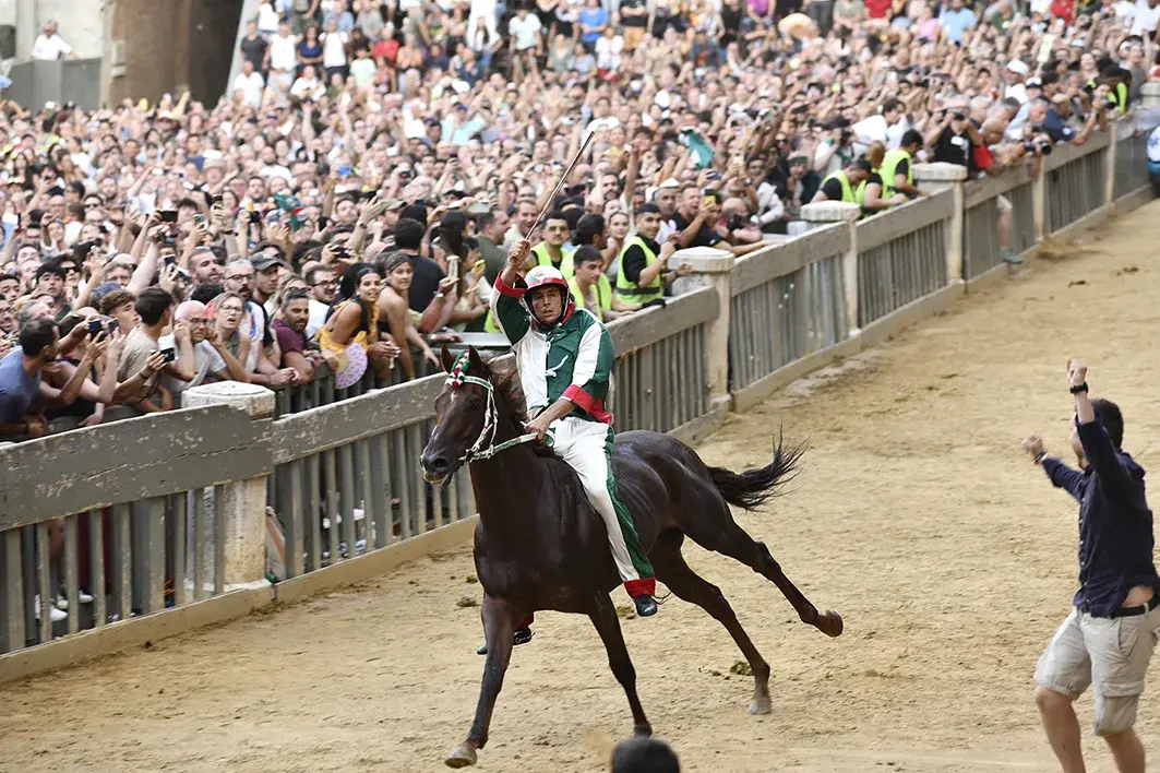 palio 3 luglio - Oca